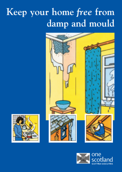 Keep your home damp and mould free pic