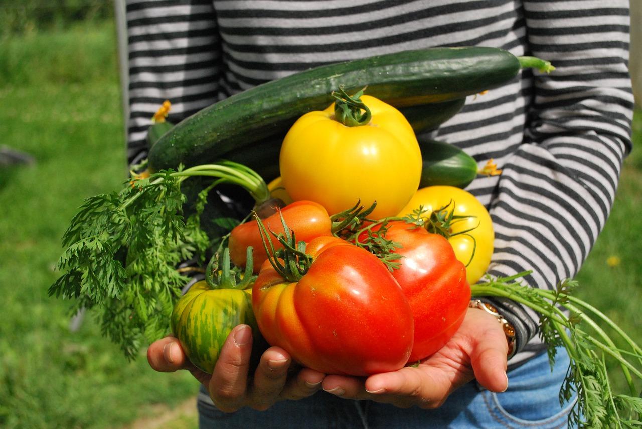 vegetables-742095 1280